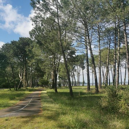 Appartements Au Coeur Du Golf, Proche Du Lac Et Velodyssee Biscarrosse Ngoại thất bức ảnh