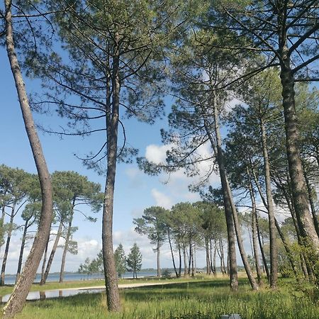 Appartements Au Coeur Du Golf, Proche Du Lac Et Velodyssee Biscarrosse Ngoại thất bức ảnh