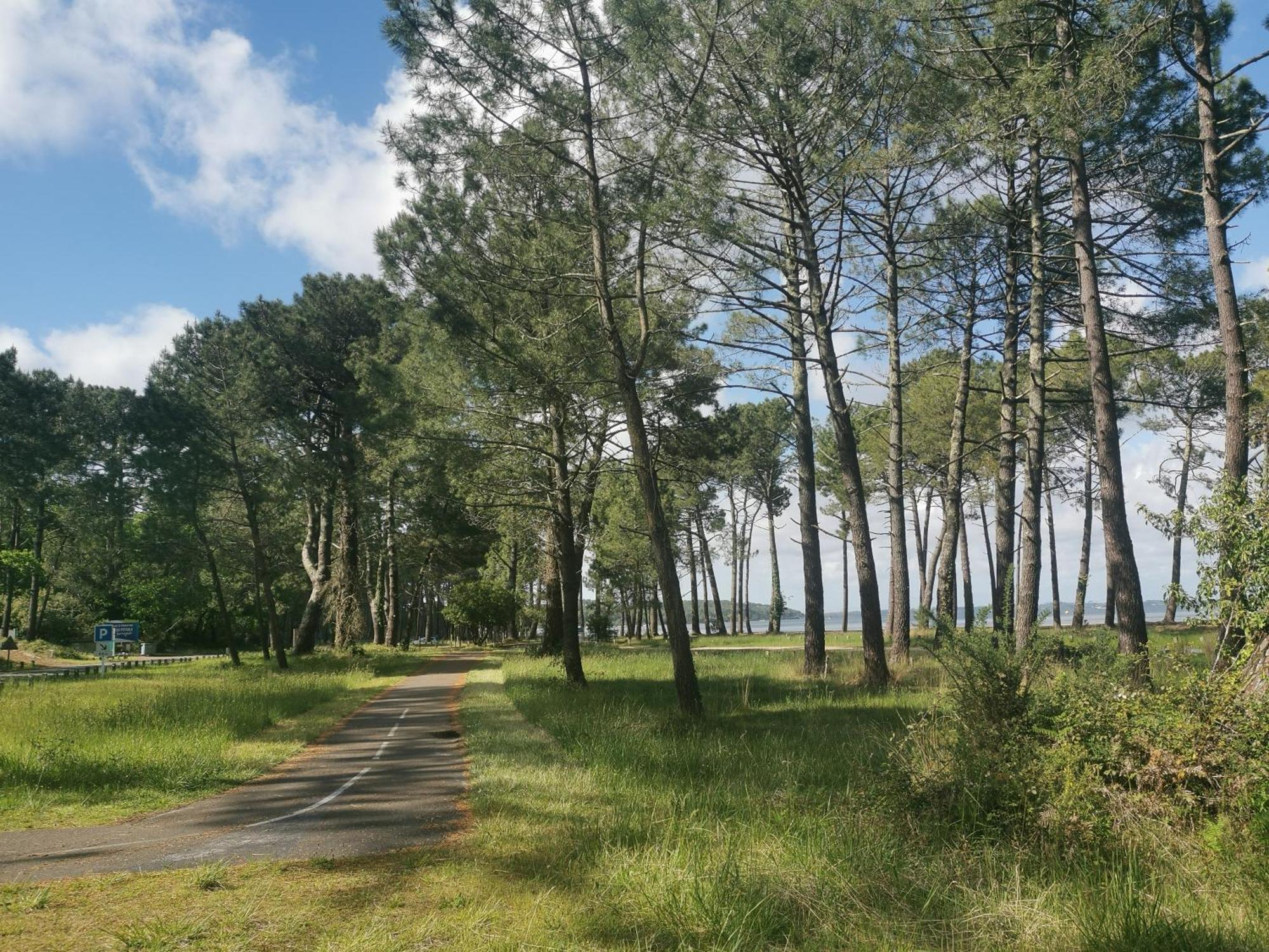 Appartements Au Coeur Du Golf, Proche Du Lac Et Velodyssee Biscarrosse Ngoại thất bức ảnh